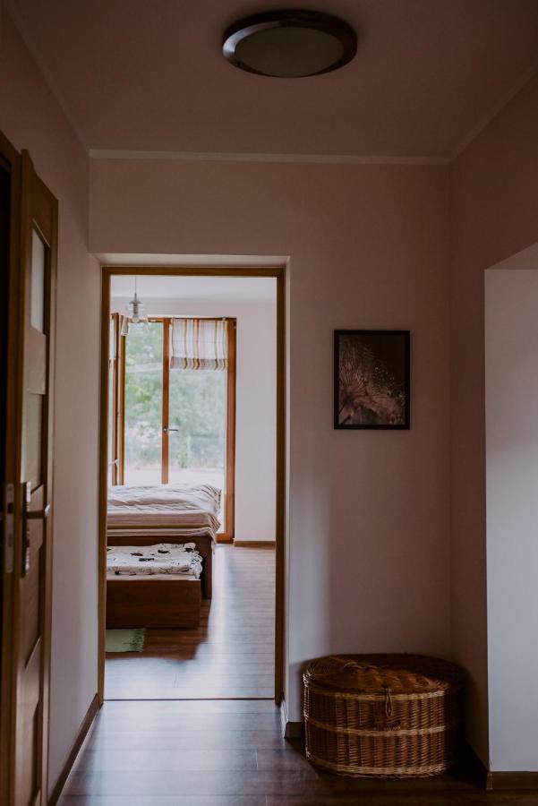Dom Wypoczynkowy - Alexander Cisiec Buitenkant foto